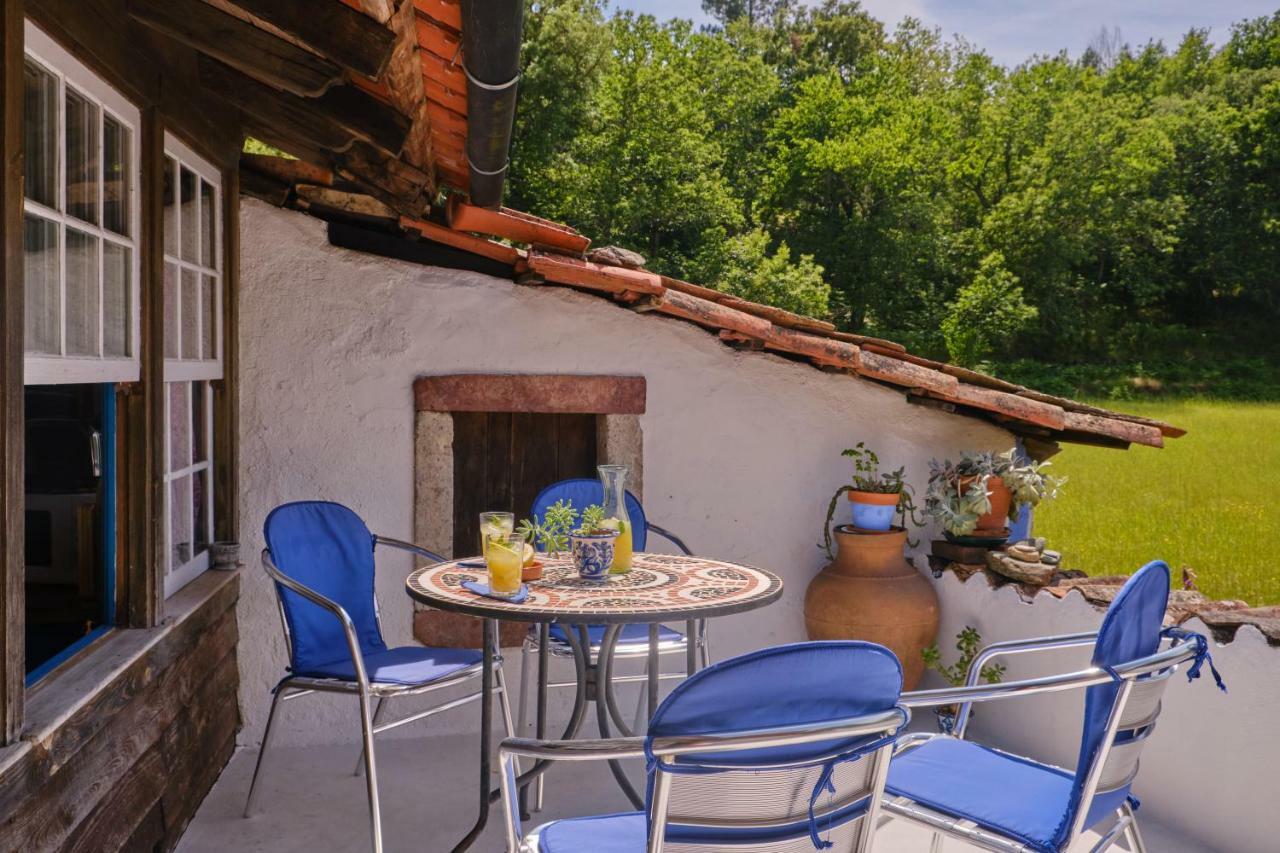 A Charming , Traditional Cottage At Quinta Da Ribeira Vila Nova de Poiares Ngoại thất bức ảnh